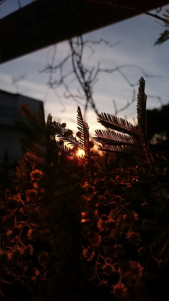 A beautiful balcony view sunset