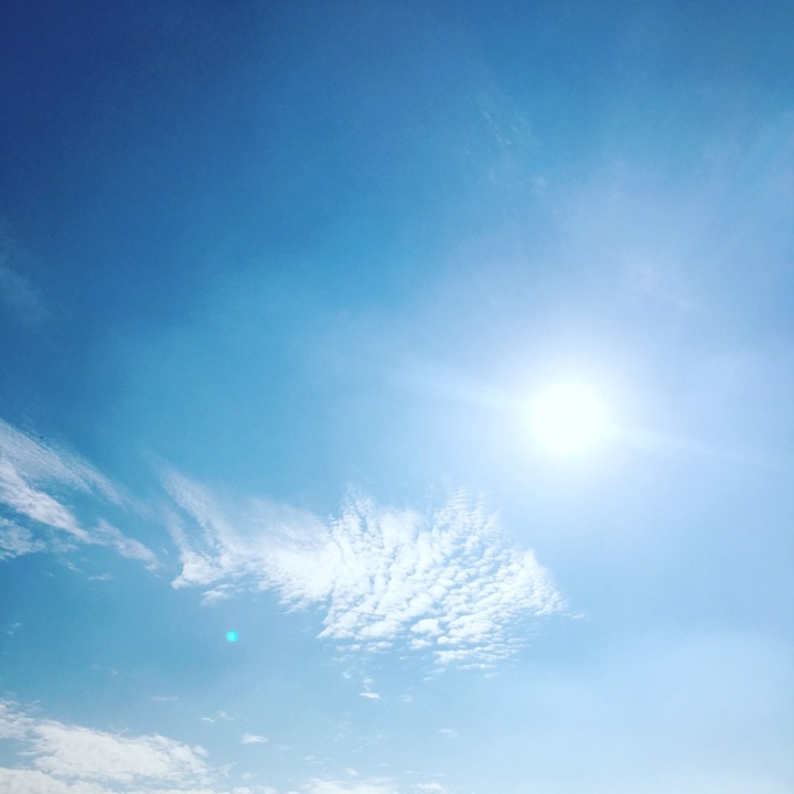 sunny day