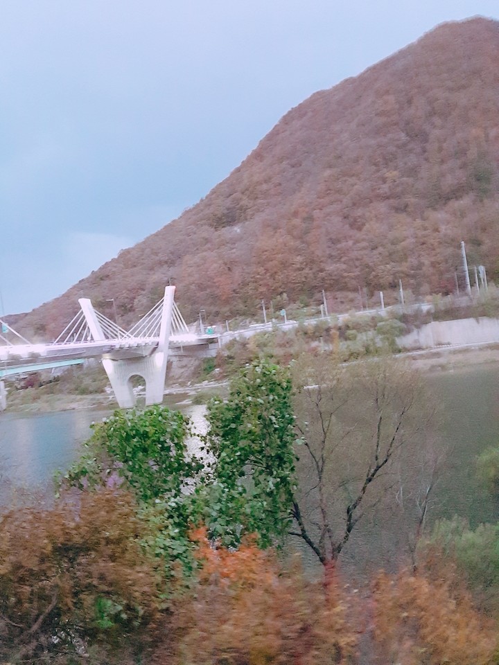 대한민국