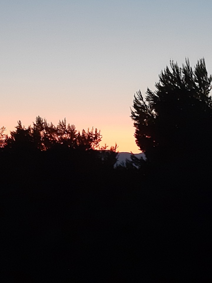 orange dusk
