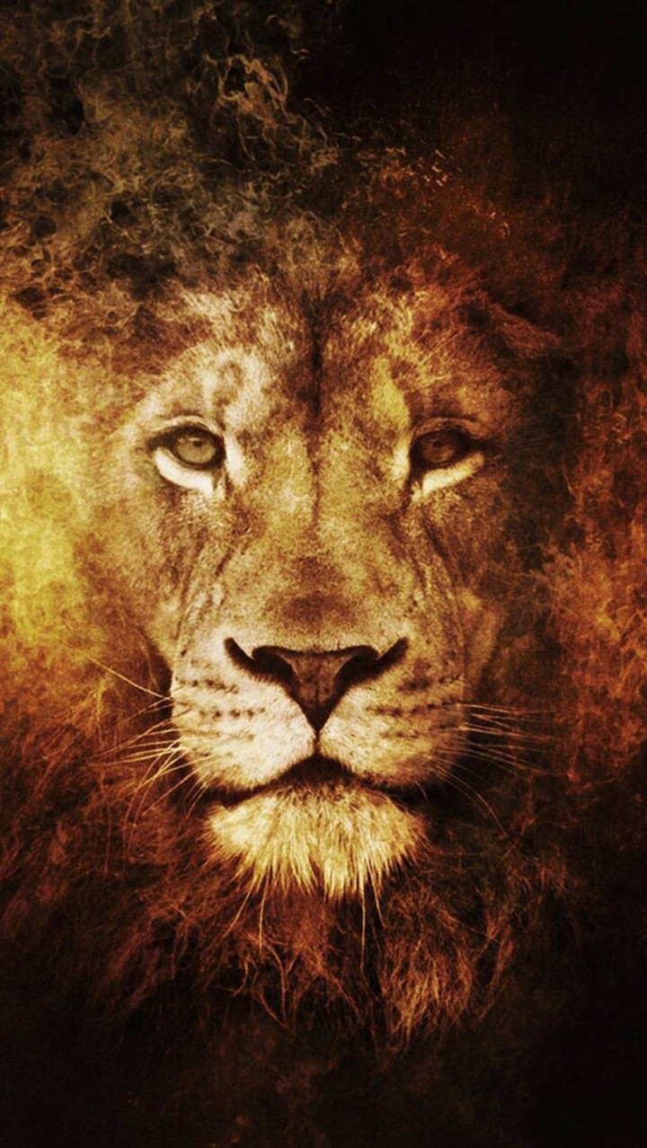 king