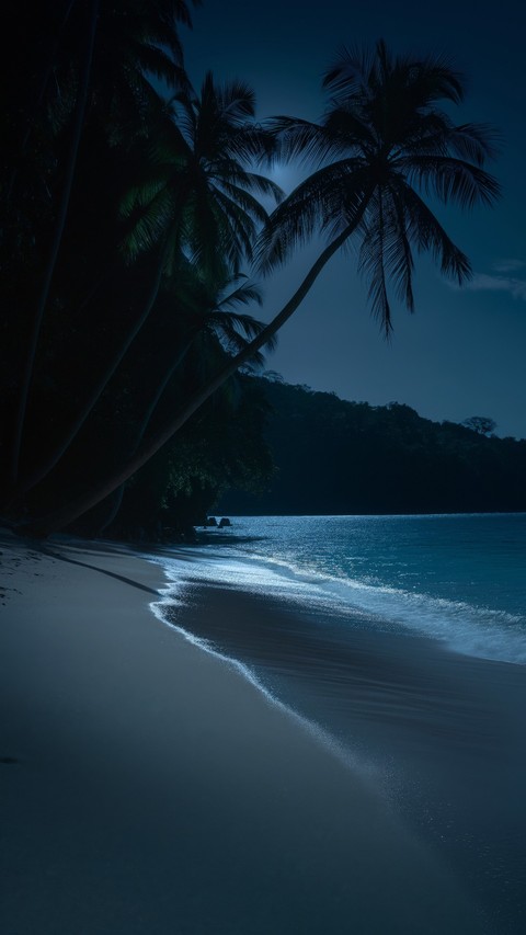 coast, tropics वॉलपेपर