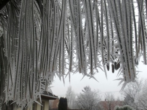 Rime