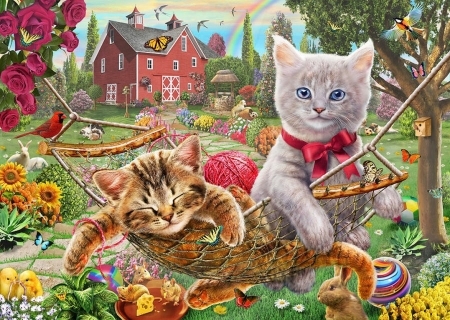 kitty