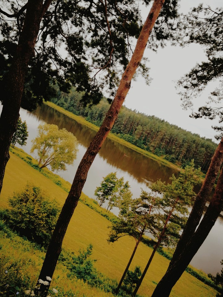nature