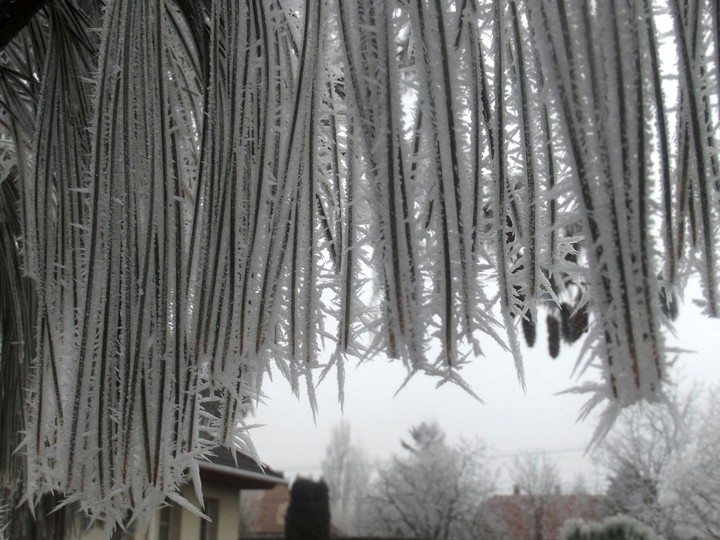Rime