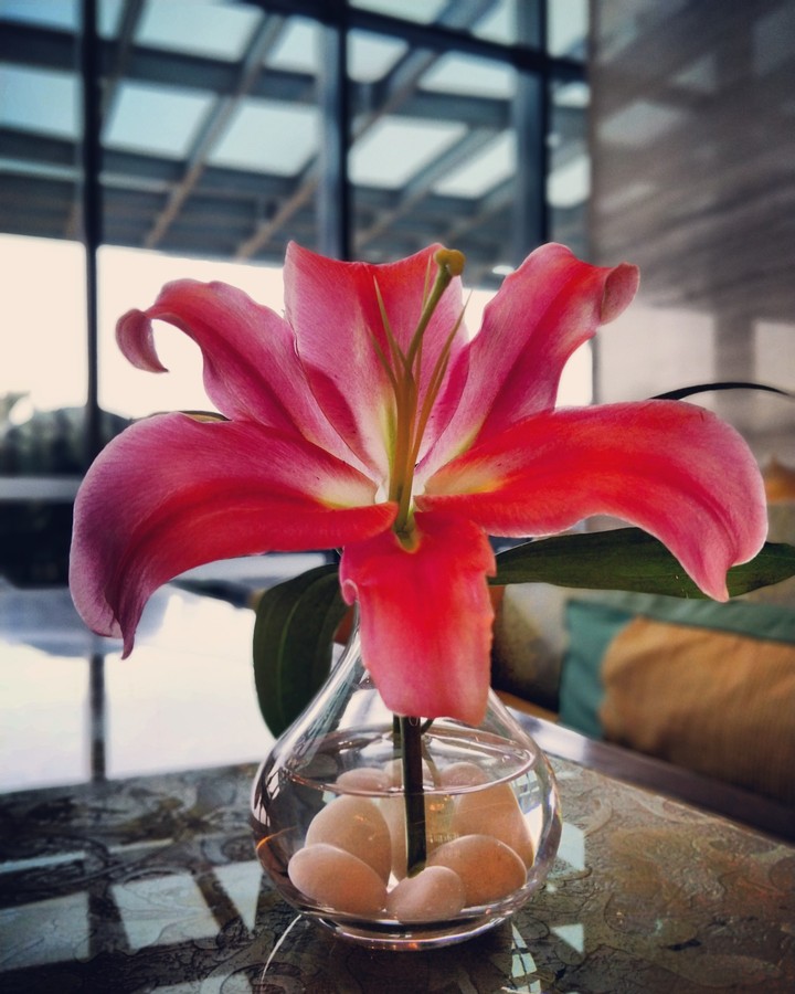 Red Flower