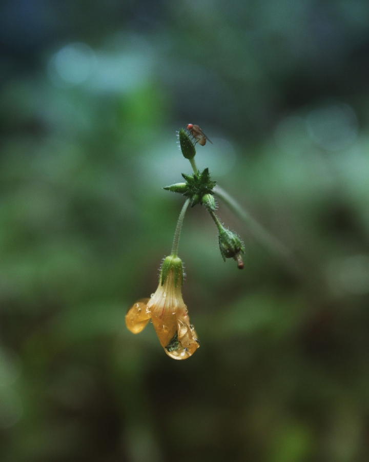 water droplets