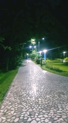 late night roaming..