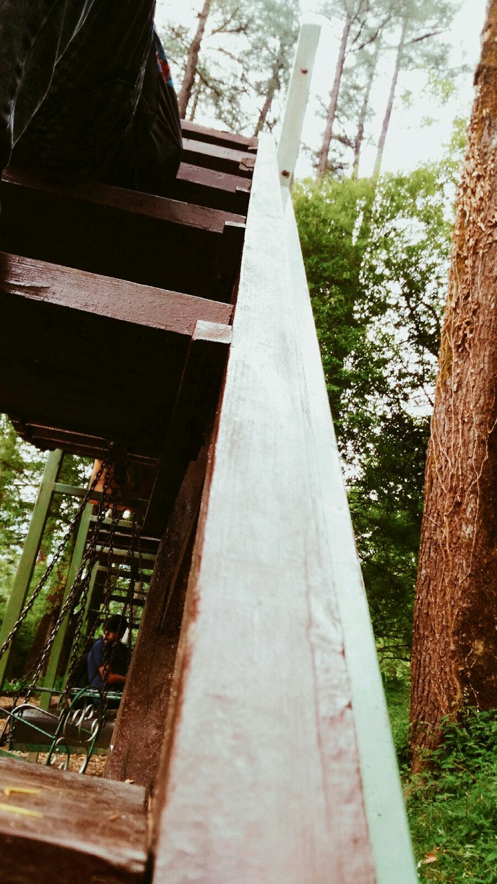 eco garden