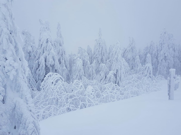 Schnee satt!