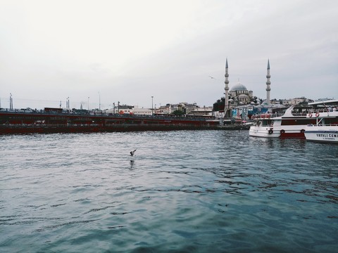İstanbul ve kuş