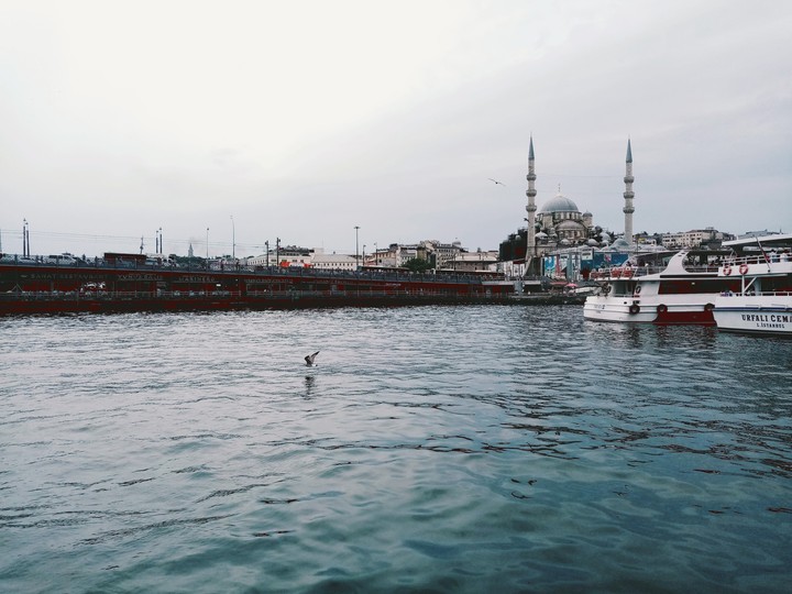 İstanbul ve kuş