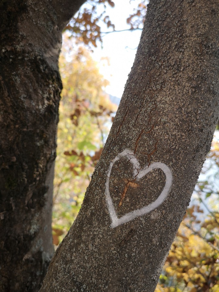 love