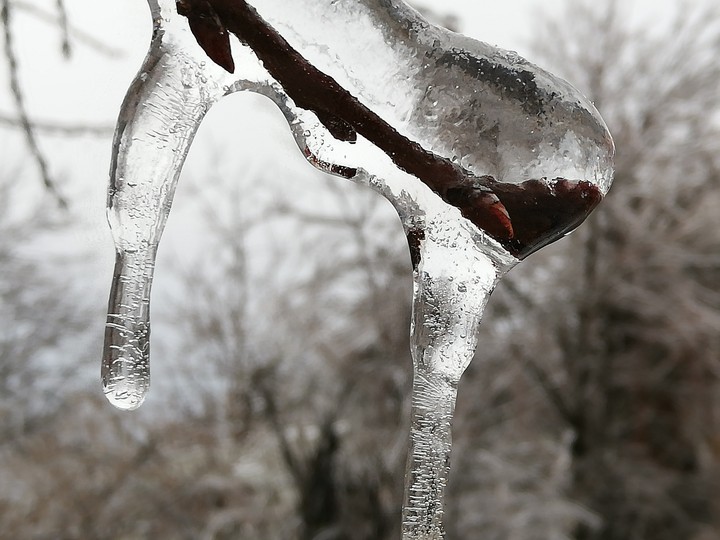 magic winter