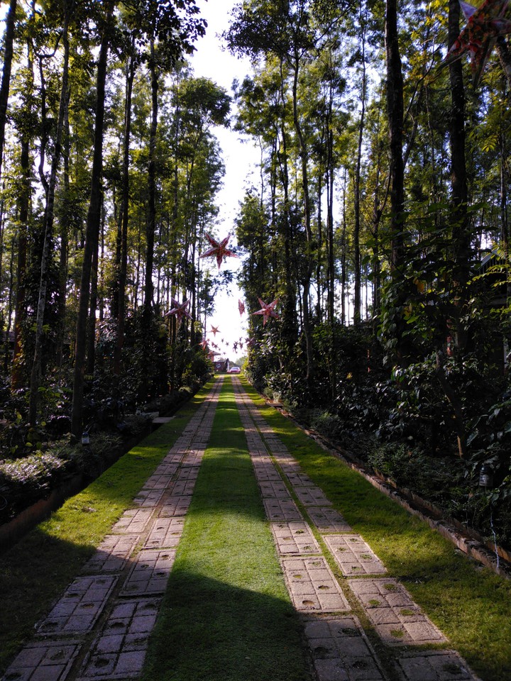 green pathway