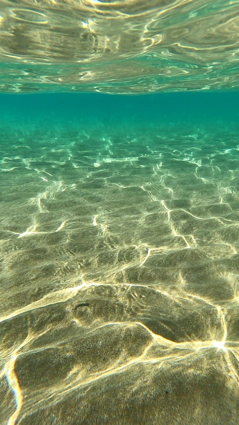ταπετσαρίες Fluid, azure
