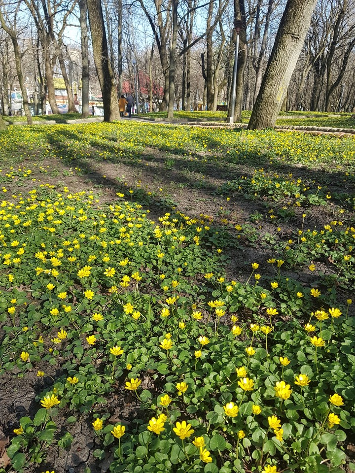 весна
