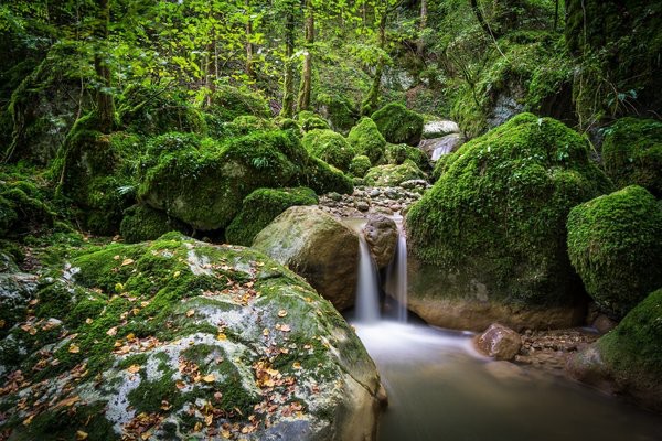 زیبایی طبیعت