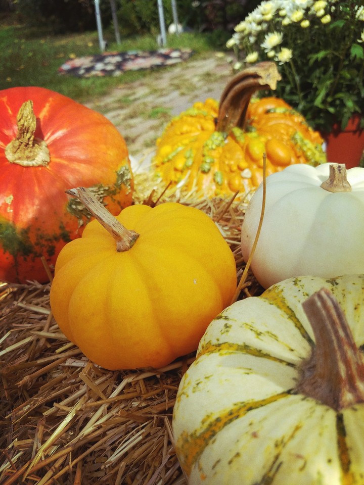 Fall's here!
