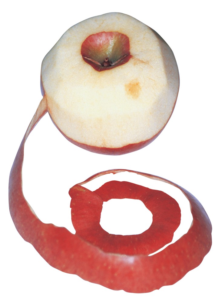 음식