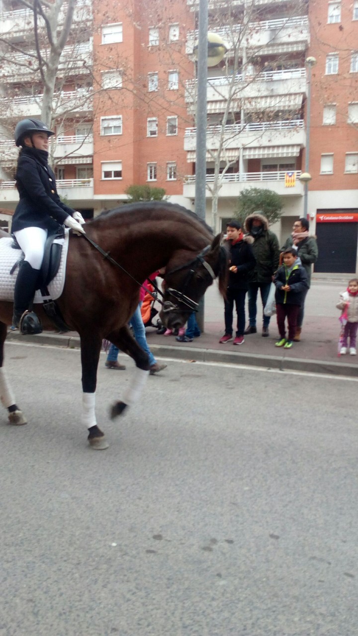 #horse