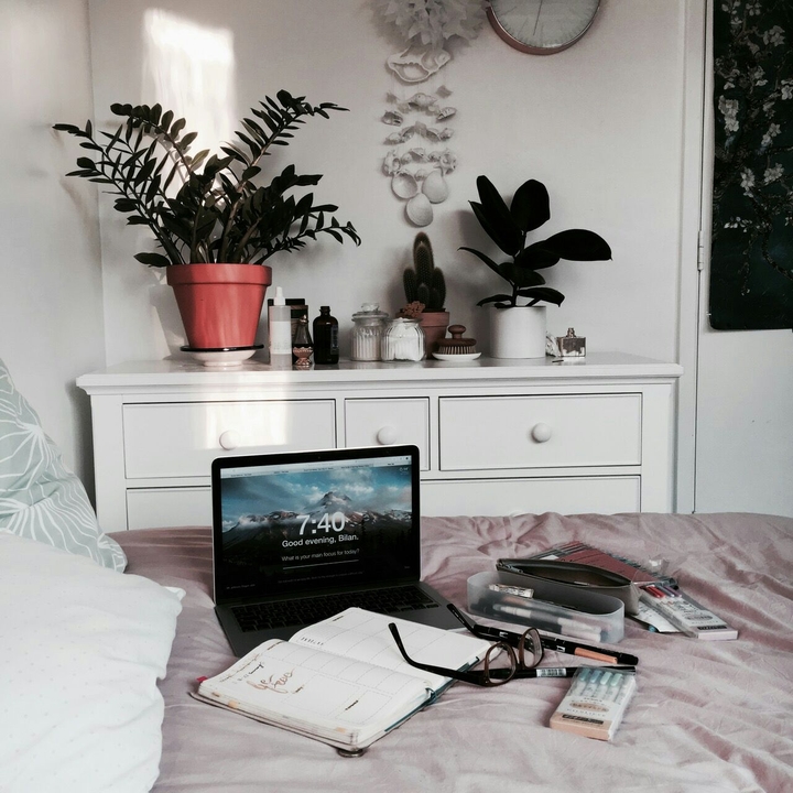 on tumblr