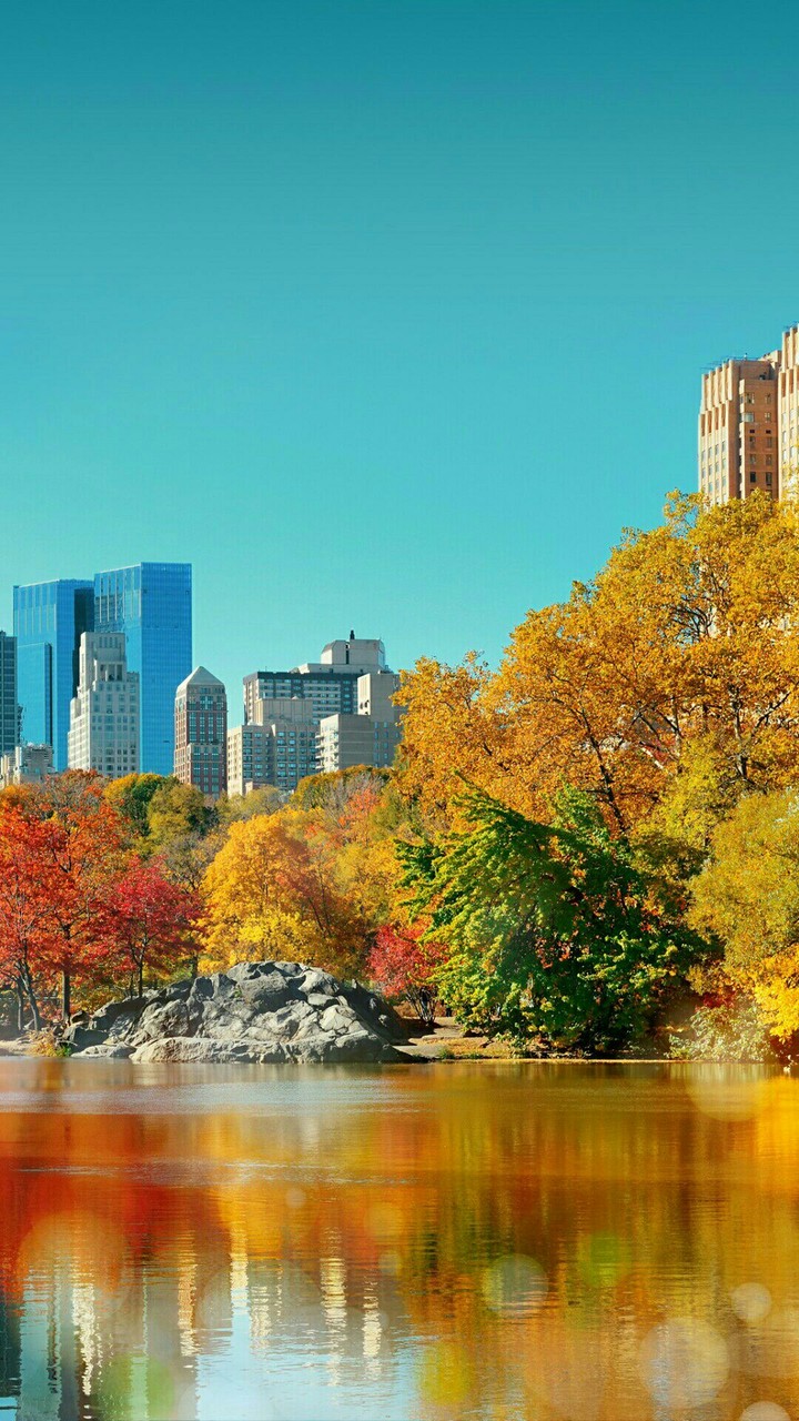 Central Park