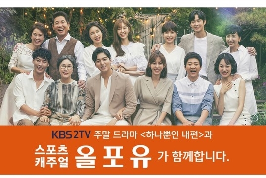 하나뿐인 내편