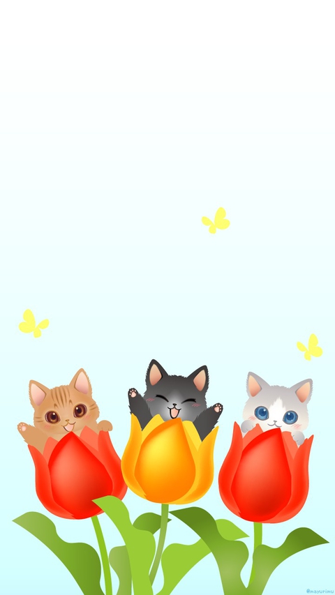 red, colorful wallpapers