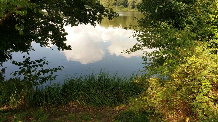 Wasser
