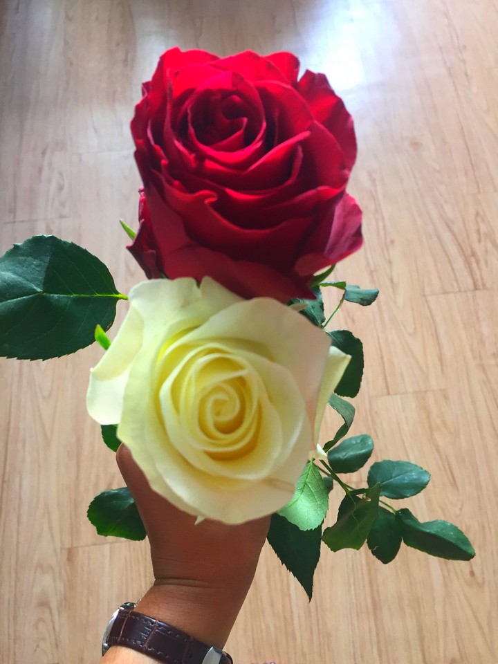 Roses