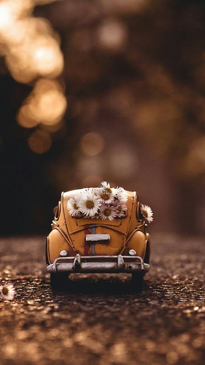 Antique ❤