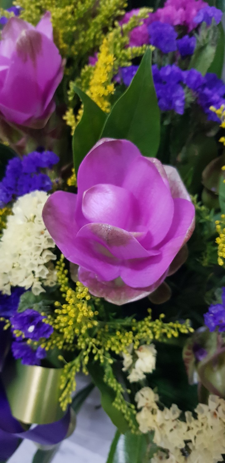 flower