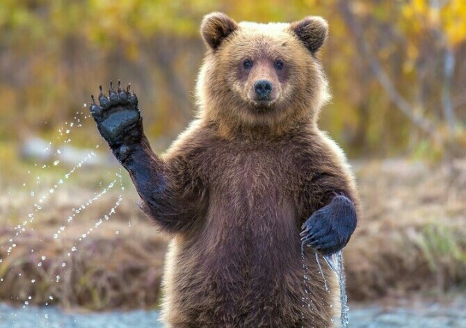 приветик!✋