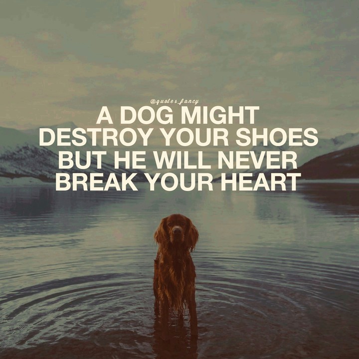 this picture is beautifull!