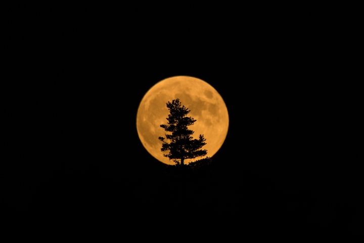 Moon