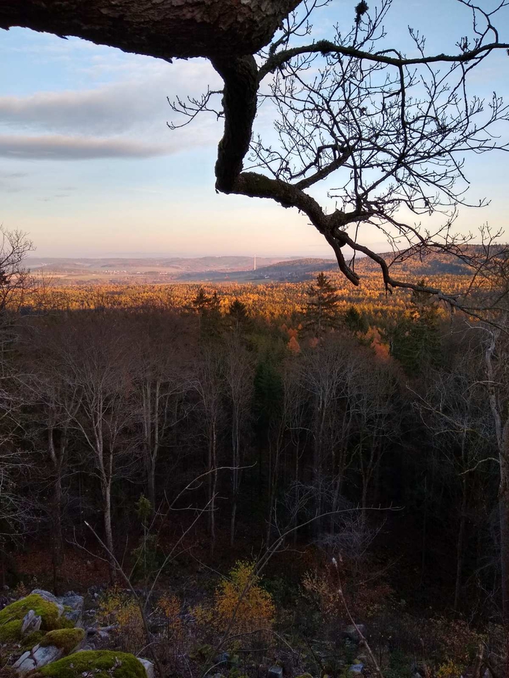 View