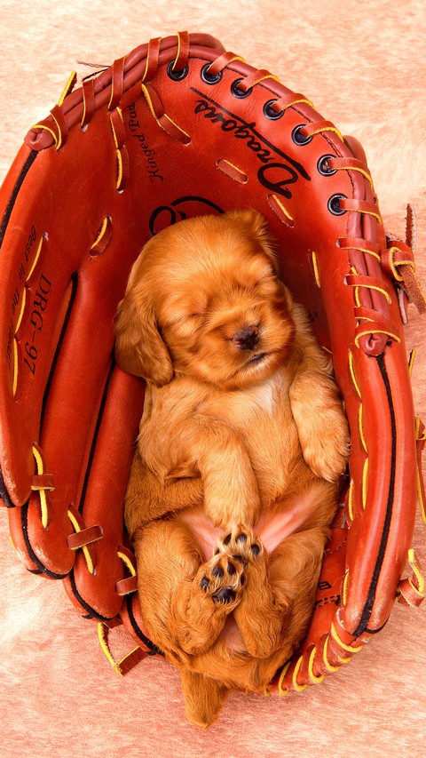 I'm Sleepy