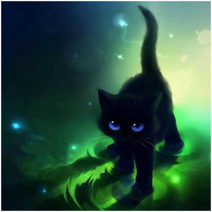 cat