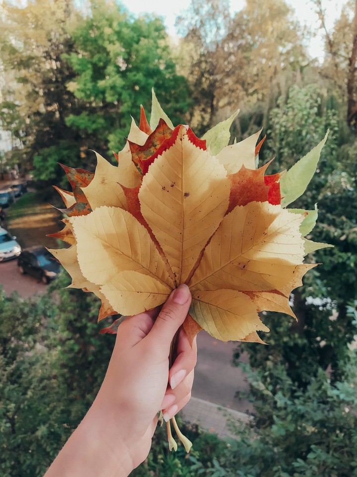 Leaves bouquet