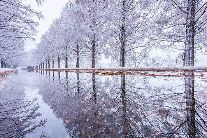 雪化粧