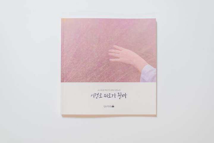 내 책
