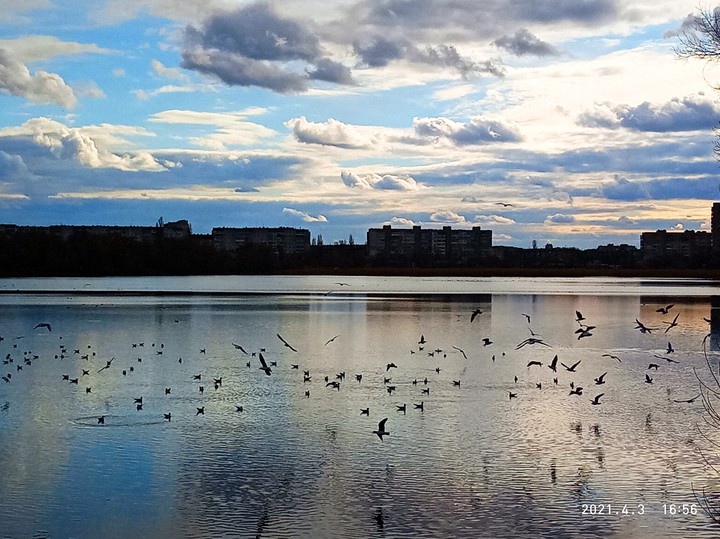 Чайки прилетели,закат,весна,вечер