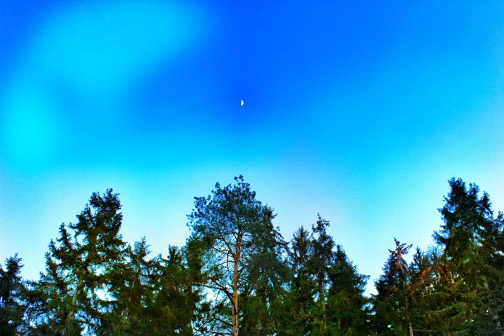 Moon