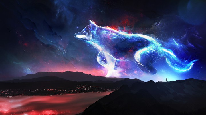 Dog