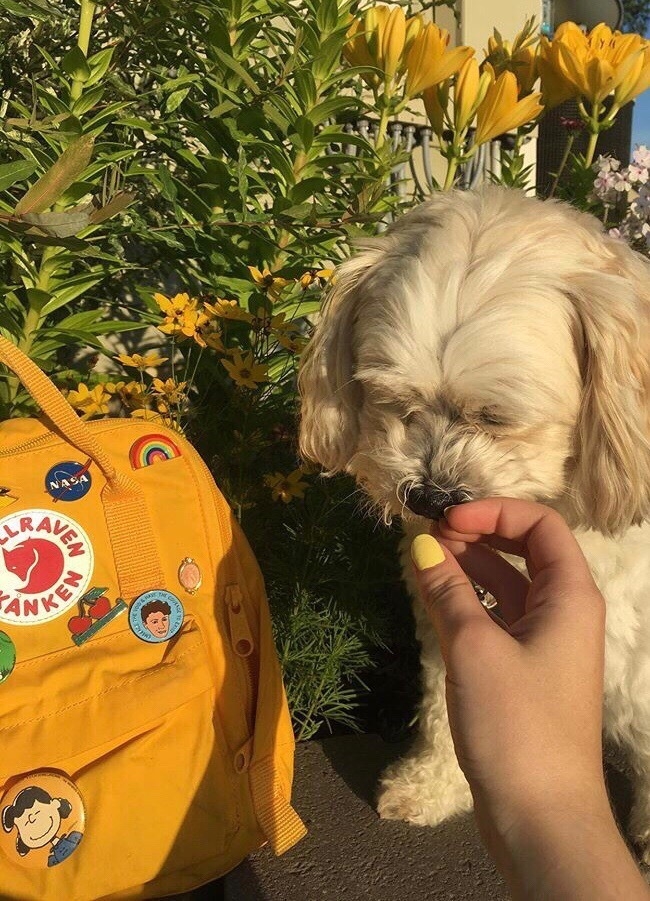 ♡