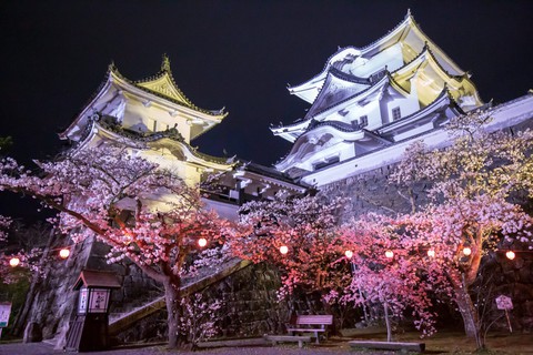 тапети castle, flowers