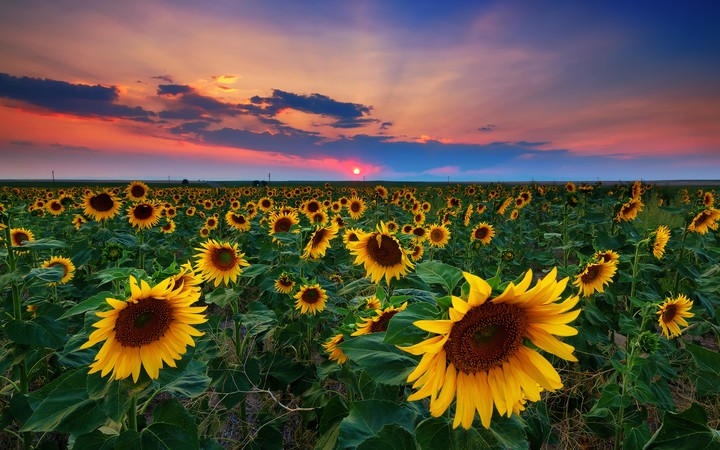 природа
