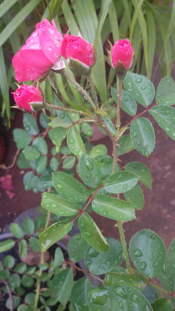 Rain cool !!!
